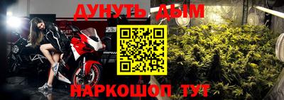 Альфа ПВП Сланцы