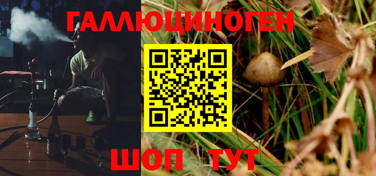 Псилоцибиновые грибы MAGIC MUSHROOMS  купить наркотик  Вход с VPN  Печора  Псилоцибиновые грибы мицелий 