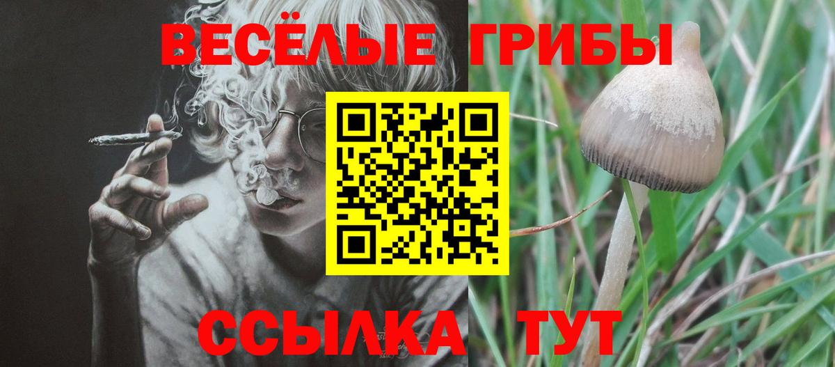 Псилоцибиновые грибы прущие грибы Печора